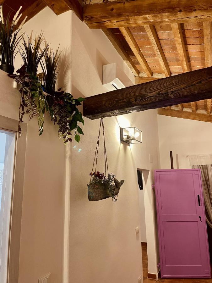 Modi Loft Daire Livorno Dış mekan fotoğraf